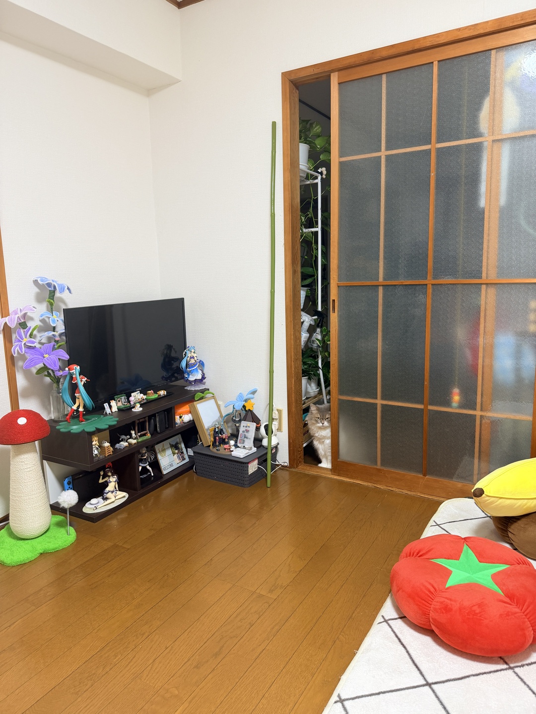 2026 年 7 月 27 日
